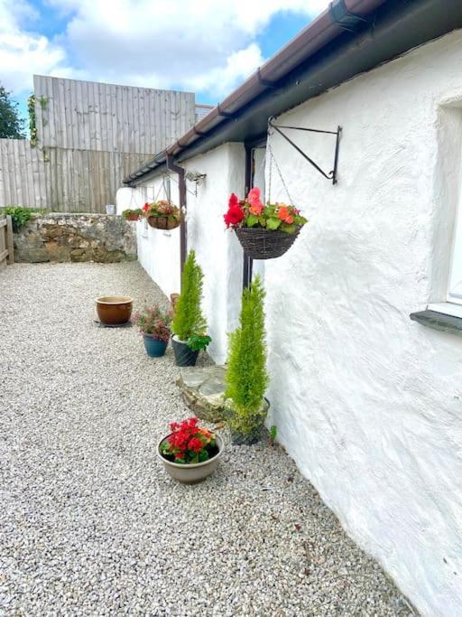 Romantic Log-Burner Cornish Cottage Private Garden Dogs Welcome Truro Exterior photo